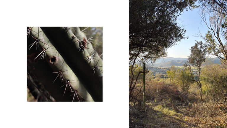 TATÚ-ARQUITECTURA-URUGUAY-CASA-SIERRA