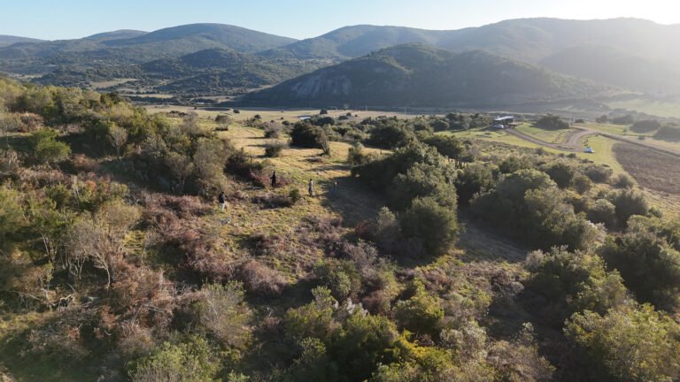 TATÚ-ARQUITECTURA-URUGUAY-CASA-SIERRA