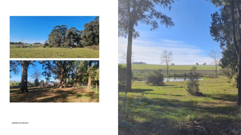 TATÚ-ARQUITECTURA-URUGUAY-MALDONADO-CASA