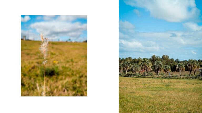 TATÚ-ARQUITECTURA-URUGUAY-MALDONADO-CASA